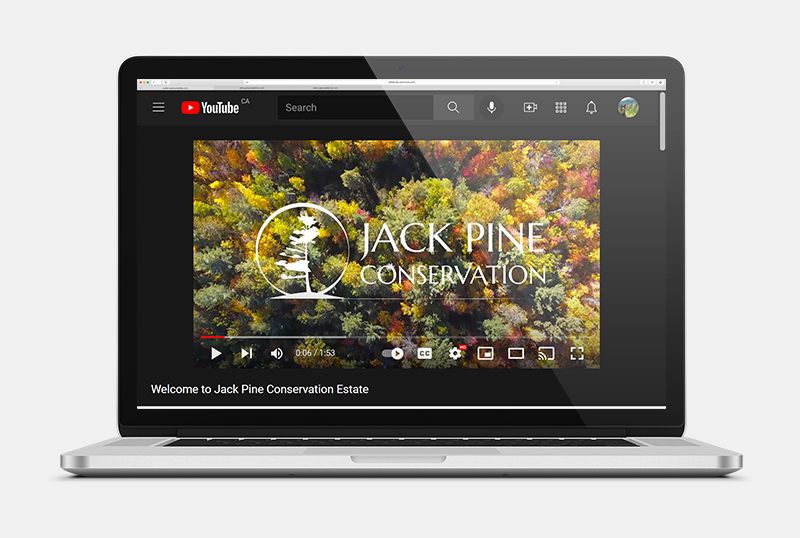 A thumbnail of the YouTube page with the Jack Pine Conservation Estate video