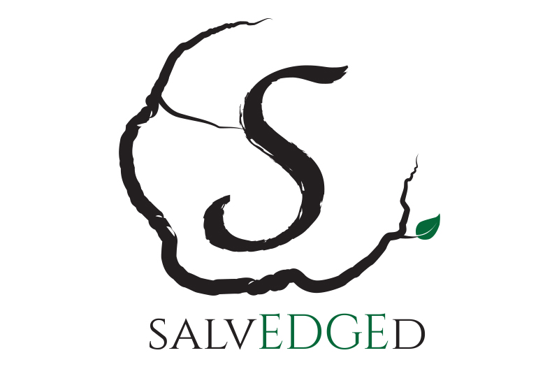 A preview of the SalvEDGEd logo